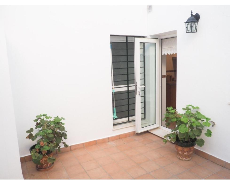 Conilplus Apartment Castilnovo Conil De La Frontera Exterior foto